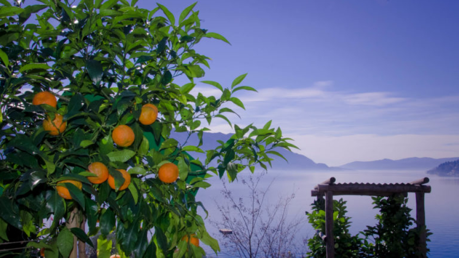 Festa degli Agrumi, il rosso accende Cannero