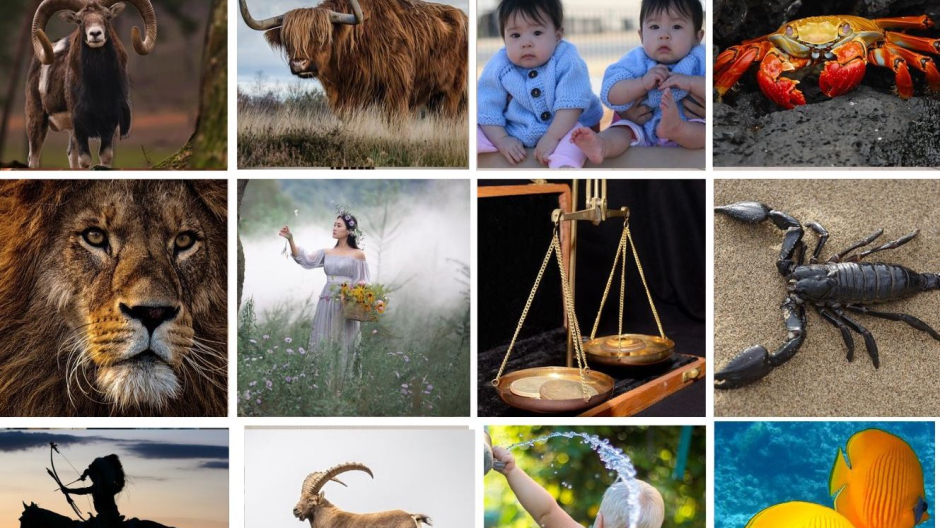 Oroscopo 2026: le stelle svelano cosa ci aspetta segno per segno