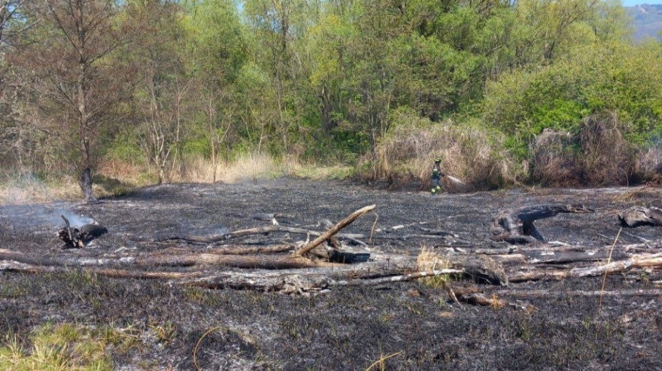 Bruciano mille metri quadrati di canneto a Fondotoce