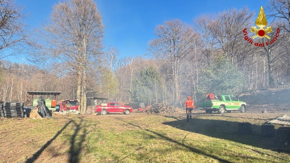Incendio boschivo, l'intervento rapido di VVf e Aib evita la propagazione