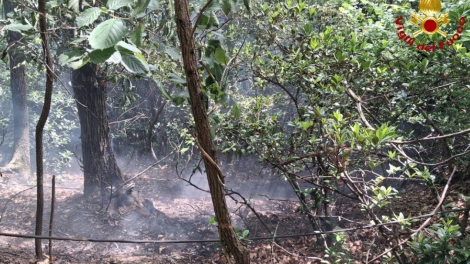 Fuoco sul Monterosso: bruciati 600 metri quadrati di bosco