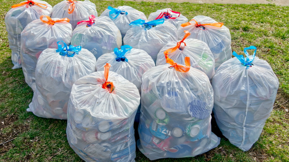 Giornata ecologica nei boschi di San Bernardino: invito alla partecipazione