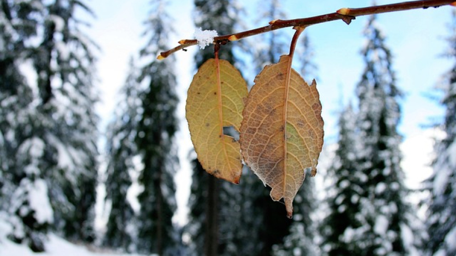 Gelo artico sul Piemonte: notti fino a -20 gradi, poi neve e foehn