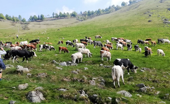 Torna l'appuntamento con Transumando