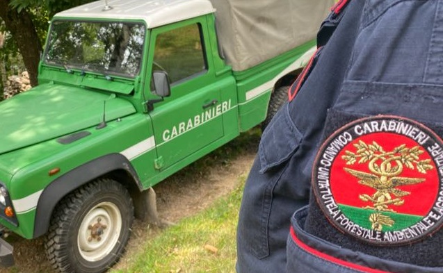 Contrasto alla macellazione clandestina: denunciato uno straniero.