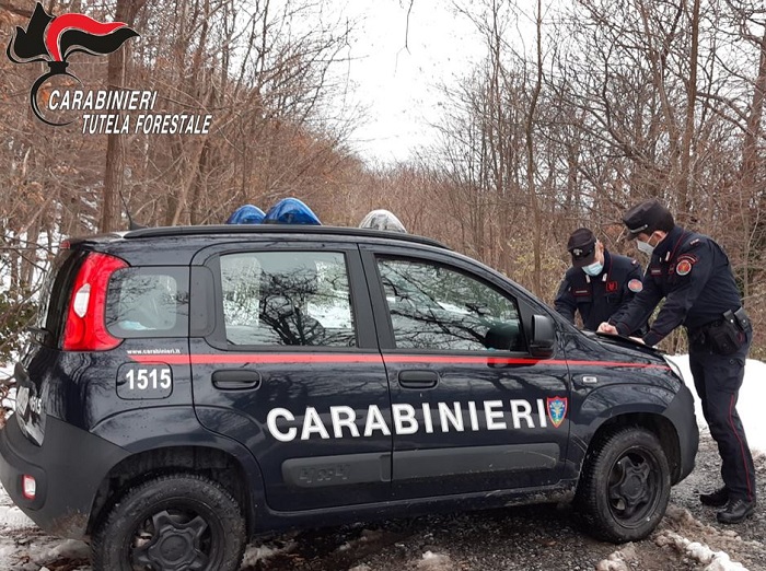 Un Maremmano uccide un cane e il pastore scappa