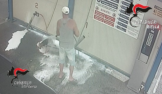 Lava il cane all'autolavaggio a Biella: denunciato