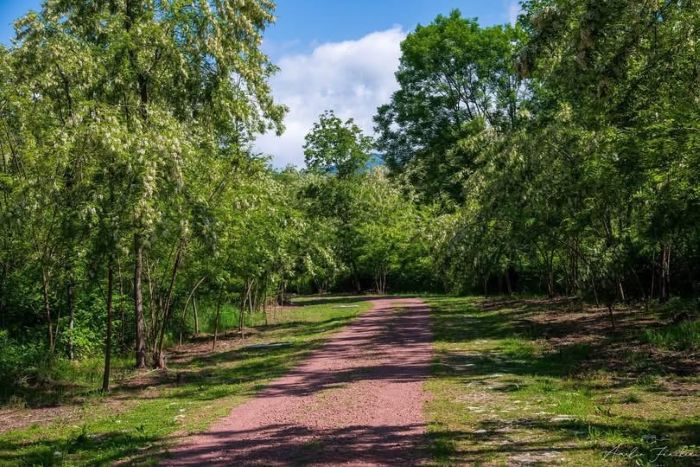 "La ciclabile di Quarona è bellissima: andate a vederla"