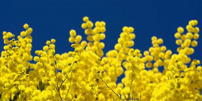 Un evento per la festa della donna a Biella