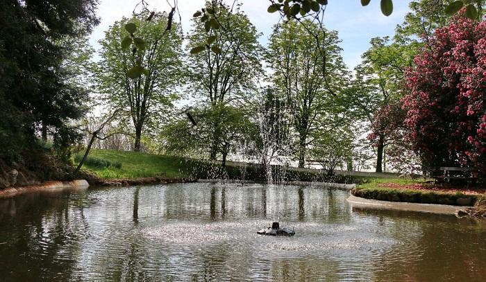 Una mostra al parco della Burcina