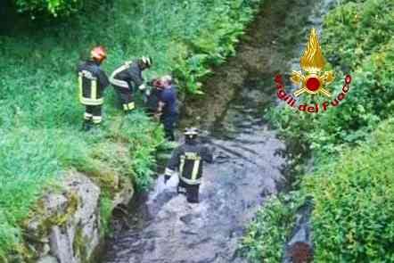 Cane finito nel canale salvato dai vigili del fuoco