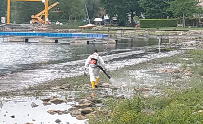 Lotta alle zanzare nel Vercellese
