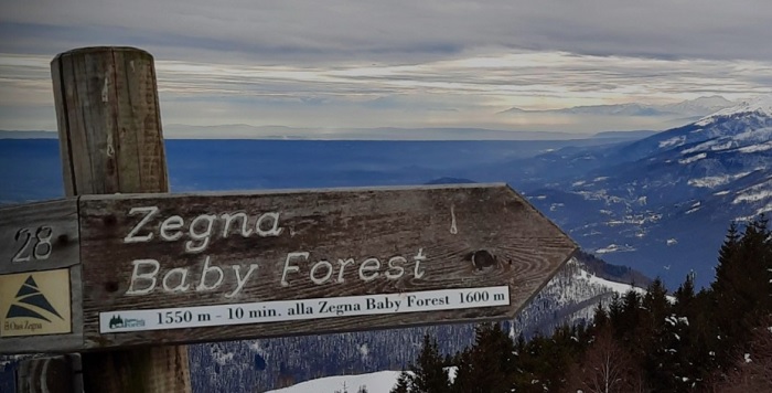 Oasi Zegna celebra il Forest Bathing familiare