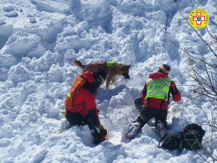 Tre persone coinvolte da caduta di una valanga: cani, elicottero e uomini in azione