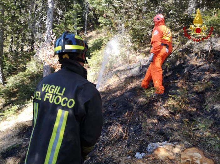 Incendio di un bosco a Beura, il rogo ha interessato circa 2500 metri quadrati