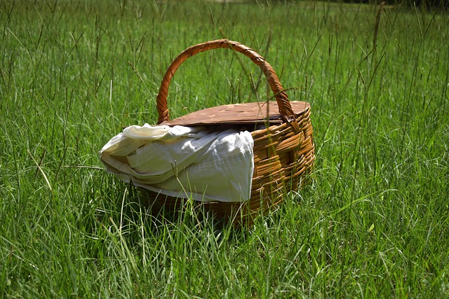 Varallo Pombia, il 2 giugno appuntamento con "Pic nic in Villa"