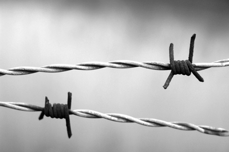 Giorno della Memoria, gli appuntamenti ad Arona