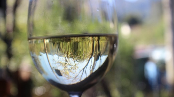 Il Club Go Wine Alto Piemonte presenta “Sfida in Bianco”