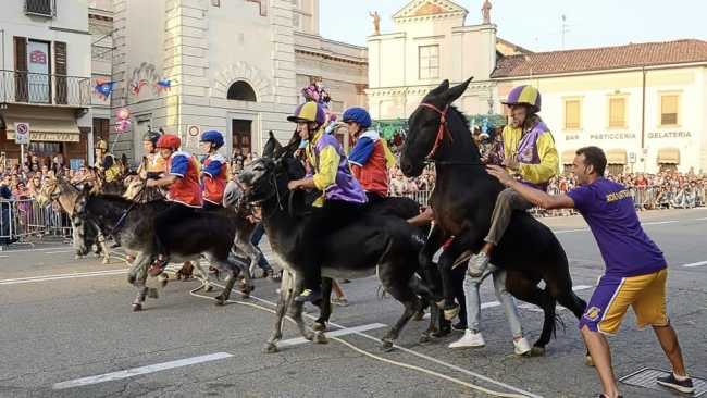 Cameri, a settembre torna la festa patronale con il palio degli asini