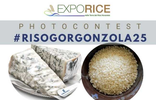 Prorogata la scadenza del photocontest "Riso e Gorgonzola"