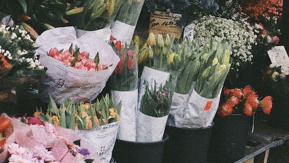 Bellinzago, come sempre il 25 aprile appuntamento con la Mostra Mercato di Primavera