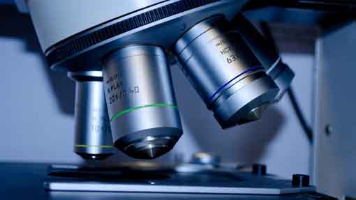Upo, due ricercatori di Ematologia protagonisti a congresso internazionale linfomi
