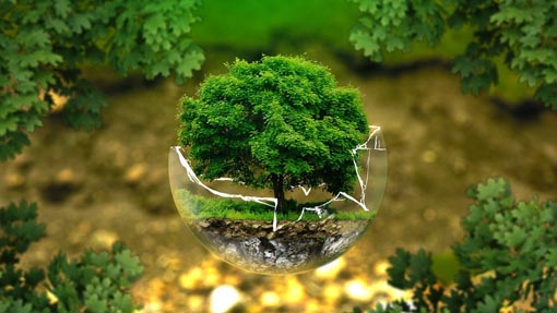 Nuovi eventi per "Biodiversità in Circolo. Appuntamenti di Citizen Science"