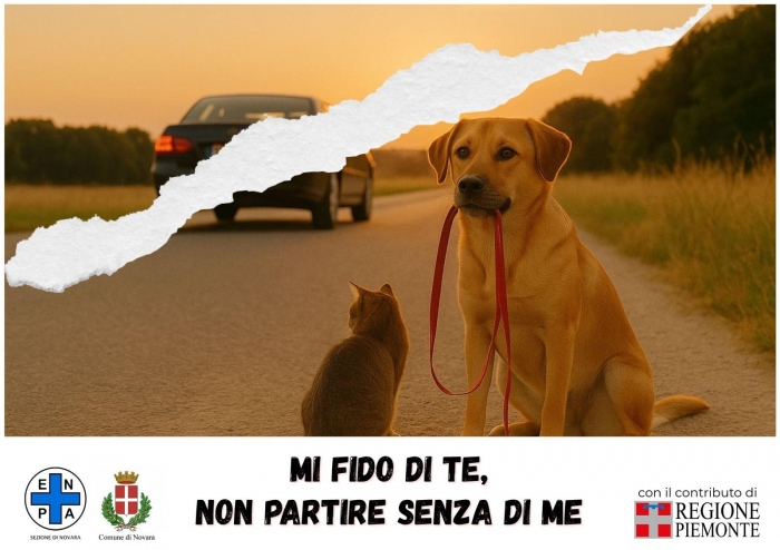 Novara, al via campagna di sensibilizzazione contro l'abbandono degli animali