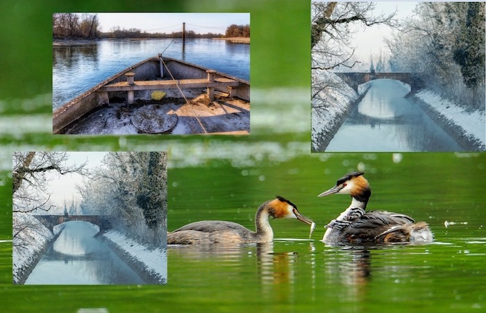 L'uomo e l'ambiente della Valle del Ticino: la mostra fotografica a Villa Picchetta