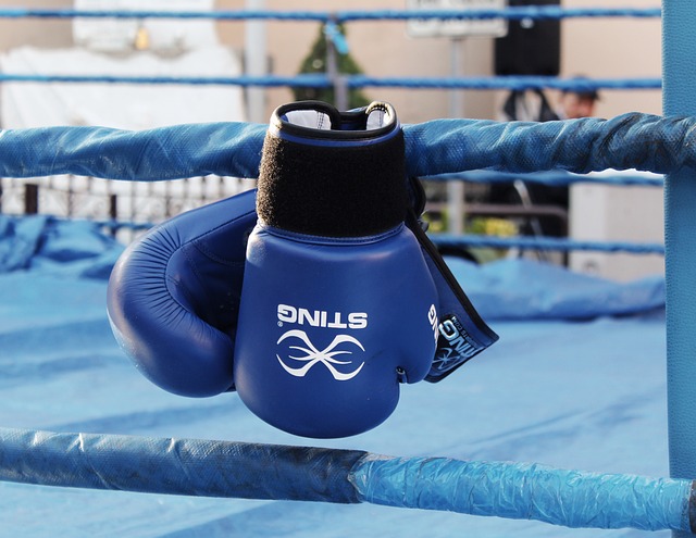 Al Pala Dal Lago la "Novara Boxing Night"
