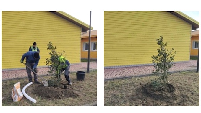 Anche all' lC "Guido da Biandrate" svolta la "Festa dell'Albero"