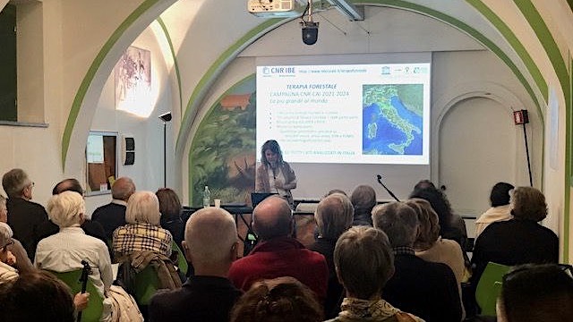 Fondazione Faraggiana, iniziate le conferenze del ciclo "L'esperienza del verde" 