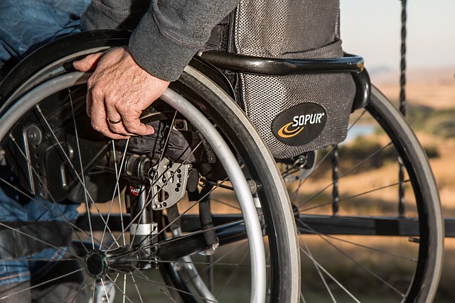 Novara, la nuova Garante delle persone con disabilità disponibile dal 29 settembre