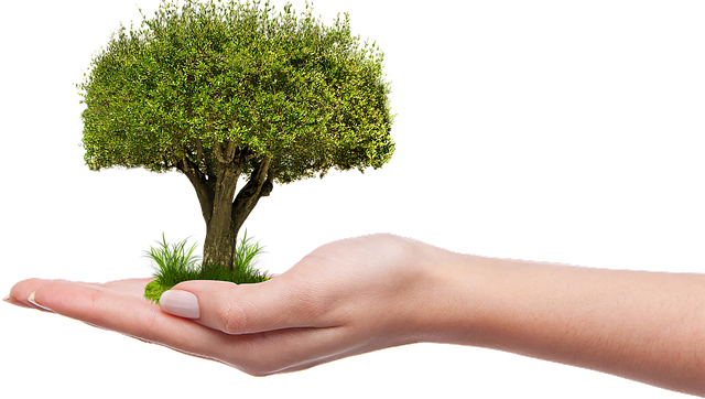 Novara, convegno “Verde urbano, ambiente, paesaggio tra governance e territorio”
