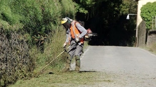 Bellinzago, avviso per candidature a "PIÙ CURA. Per un paese più pulito e vivibile"