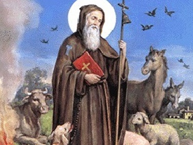 Trecate, per Sant'Antonio Abate la tradizionale benedizione dei mezzi agricoli