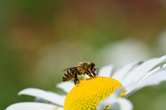 Nasce la Comunità Novarese per la tutela della biodiversità 