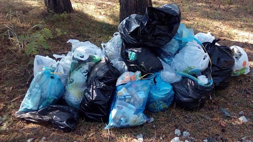 Trecate, Plastic Free ODV Onlus: a fine maggio evento per la pulizia ambientale