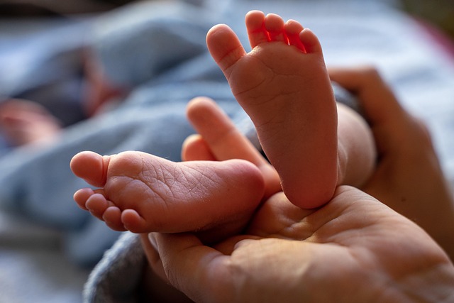 Donazione del cordone ombelicale. Ce ne parla l'avvocato Crapanzano 