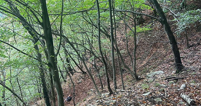 Fungiat infortunato ad una spalla, intervento del Soccorso alpino 