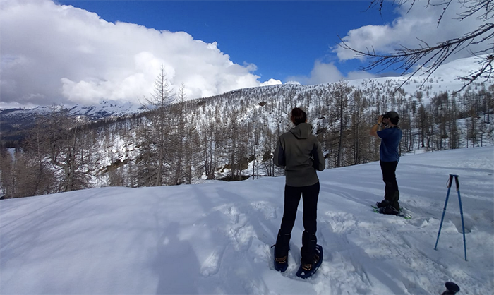 Censito il fagiano di monte nell’Alta Ossola: bene al Devero e male al Veglia