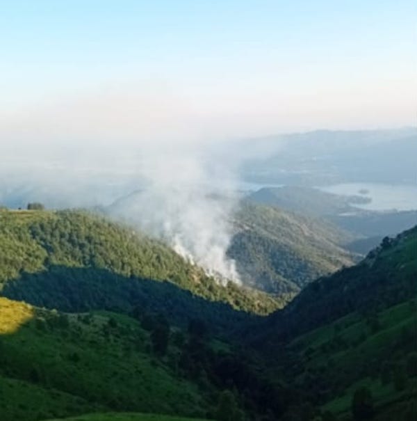 Fiamme al Mottarone, Vvf e volontari in azione