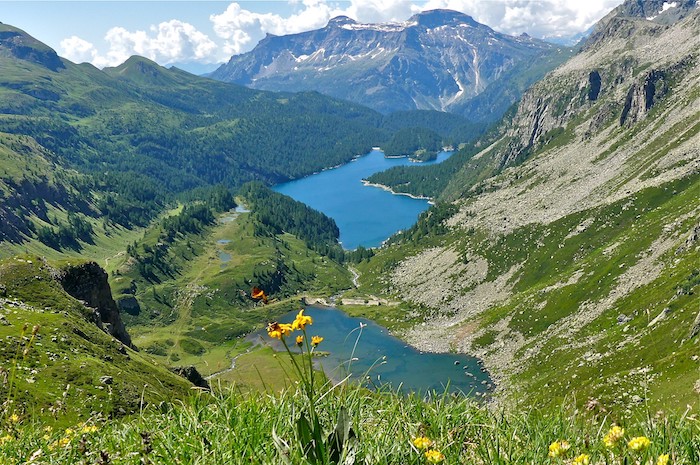 Aree Protette dell’Ossola, l’ex CdA traccia un bilancio