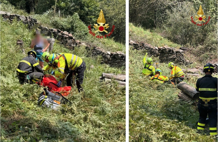 Cossogno: austriaco schiacciato dall'albero che stava tagliando, salvato 