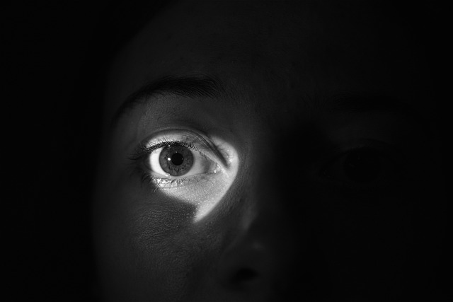 Guardoni e il reato di interferenze illecite nella vita privata - di C. Crapanzano