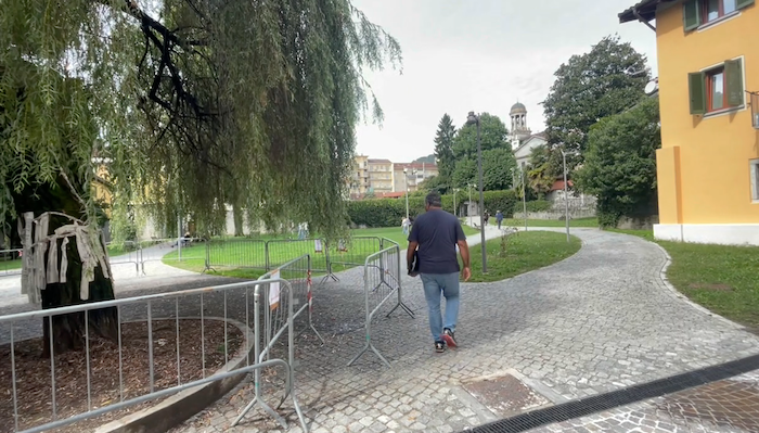 Verbania, 189 alberi abbattuti: Capra difende le scelte, Allevi chiede trasparenza