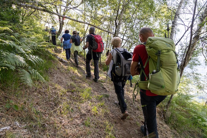 Musik in den Bergen: „Musica in Quota“ startet an der Alpe Prasca