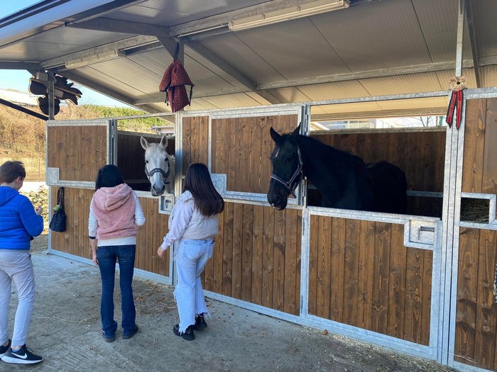 Il presepe vivente inclusivo nella scuderia di Cavallo amico