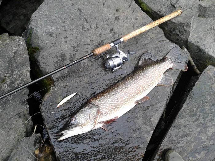 Pesca, più divieti sul Lago Maggiore