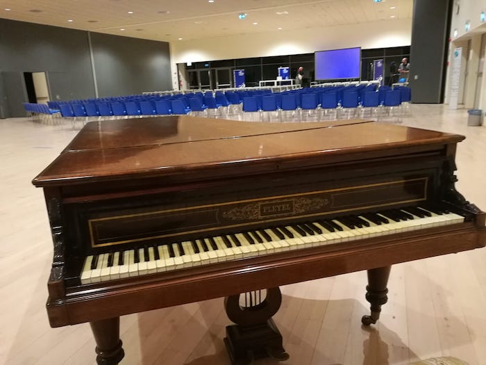 Ensemble Toscanini al Maggiore con “Il Carnevale degli Animali” di Saint-Saëns